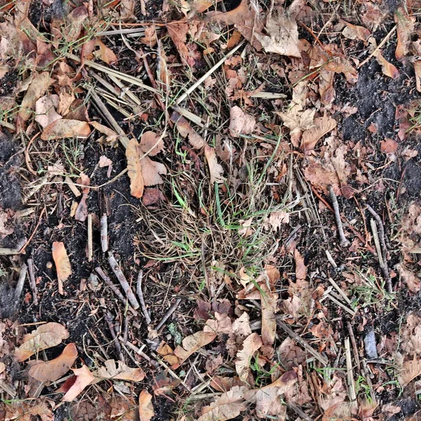 Foto Realista Patrón Textura Sin Aspecto Hojas Otoño Suelo Forestal — Foto de Stock