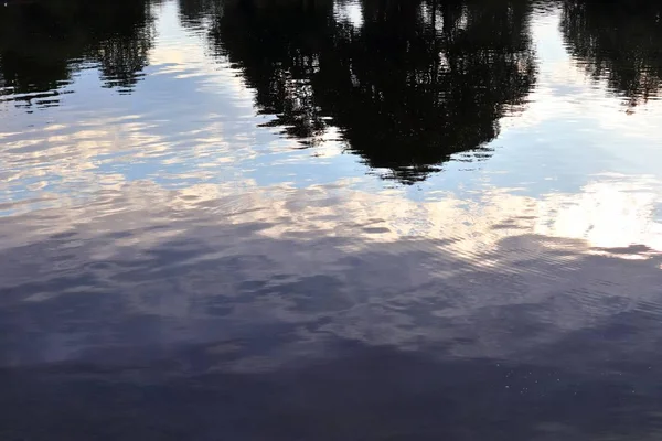 Prachtige Wateroppervlakken Aan Een Meer Met Reflecties Van Zonlicht Omringende — Stockfoto