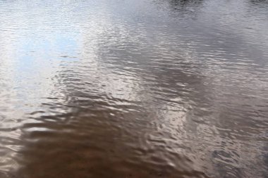 Büyük bir gölde su yüzeylerine ve sahillerine yakın görünüm