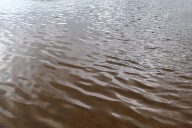 Büyük bir gölde su yüzeylerine ve sahillerine yakın görünüm