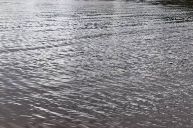 Büyük bir gölde su yüzeylerine ve sahillerine yakın görünüm