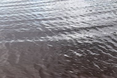 Büyük bir gölde su yüzeylerine ve sahillerine yakın görünüm