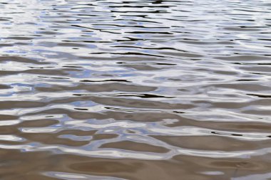 Büyük bir gölde su yüzeylerine ve sahillerine yakın görünüm