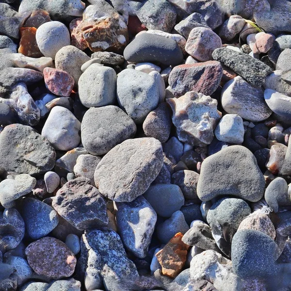 해변에서 자갈과 현실적인 겉보기 텍스처 — 스톡 사진