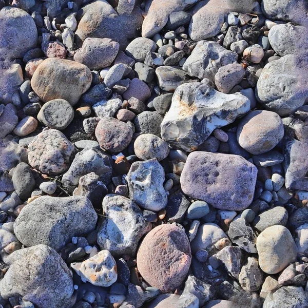 照片逼真的似乎无纹理图案的鹅卵石和石头在波罗的海海滩 — 图库照片