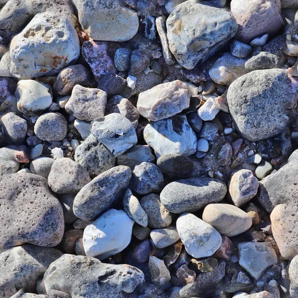 Modèle Texture Sans Apparence Réaliste Galets Pierres Sur Une Plage — Photo