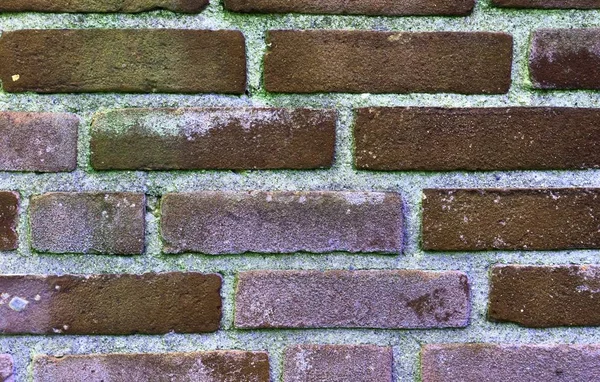 Vue Rapprochée Détaillée Sur Les Murs Briques Anciennes Altérées Couleur — Photo
