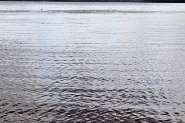 Güneş ışığını yansıtan dalgalar ve dalgalanmalar ile su yüzeyleri güzel yakın 