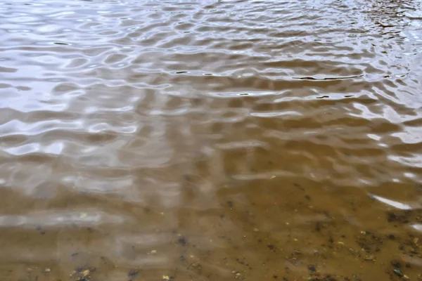 Güneş ışığını yansıtan dalgalar ve dalgalanmalar ile su yüzeyleri güzel yakın 