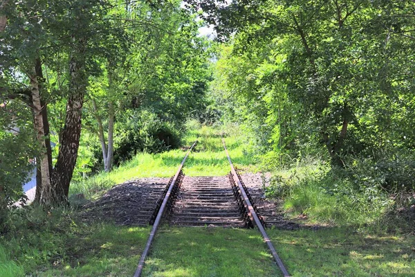 Différentes Vues Détaillées Sur Les Chemins Fer Les Passages Niveau — Photo