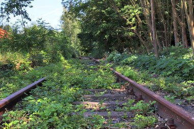 Almanya'da demiryolları ve demiryolu geçişleri hakkında farklı detaylı görüşler