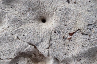 Yüksek çözünürlükte baltık denizi sahilinde kum üzerinde ayrıntılı görünüm