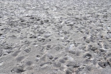 Yüksek çözünürlükte baltık denizi sahilinde kum üzerinde ayrıntılı görünüm