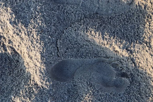 Детальный Вид Песок Пляже Балтийского Моря Высоком Разрешении — стоковое фото