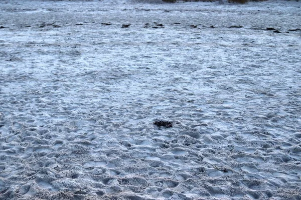 高分辨率的波罗的海海滩沙滩的详细景观 — 图库照片