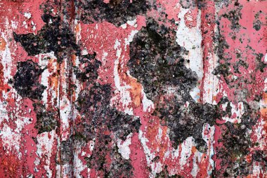 Yüksek çözünürlükte boya ve çatlaklar ile detaylı beton duvarlarda yakından görünüm