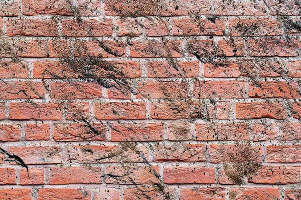 Vue Rapprochée Détaillée Sur Les Murs Briques Rouges Vieillis Altérés — Photo