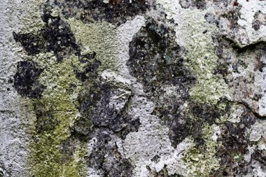 Yüksek çözünürlükte çatlak ve boya ile yaşlı ve yıpranmış beton duvarların ayrıntılı yakın görünümü