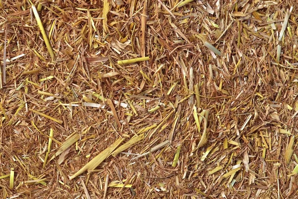 Detailaufnahme Auf Goldenem Stroh Auf Einem Landwirtschaftlichen Feld — Stockfoto