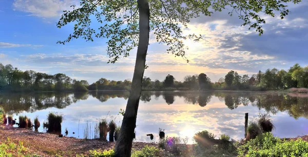 Belo Panorama Uma Paisagem Lago Norte Alemanha Dia Ensolarado Verão — Fotografia de Stock