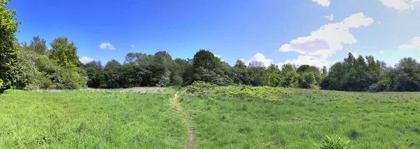 美丽的高分辨率夏季景观与田野 绿草和令人惊叹的夏季天空采取在德国北部 — 图库照片