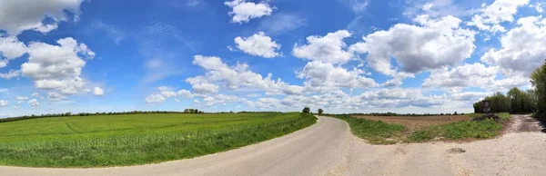 Beau Paysage Été Haute Résolution Avec Des Champs Herbe Verte — Photo