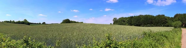 美丽的高分辨率夏季景观与田野 绿草和令人惊叹的夏季天空采取在德国北部 — 图库照片