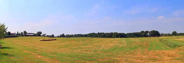 フィールド 緑の草と北ドイツで撮影された見事な夏の空と美しい高解像度の夏の風景 — ストック写真