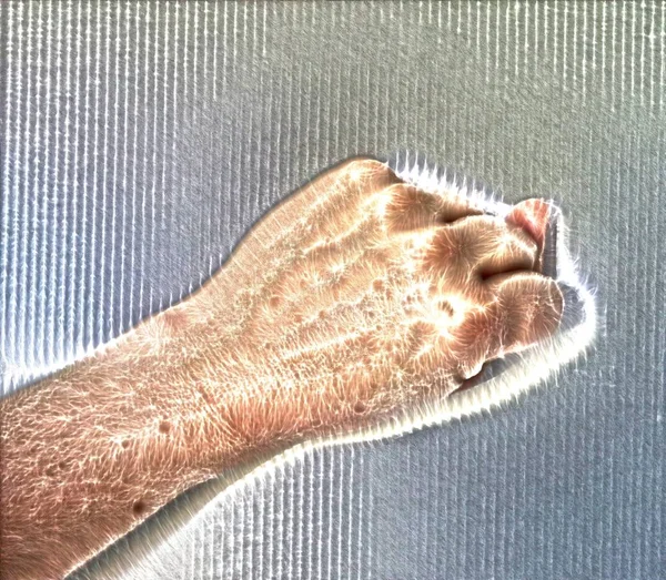 Illustratie Van Een Gloeiende Menselijke Vrouwelijke Hand Met Een Blauwe — Stockfoto