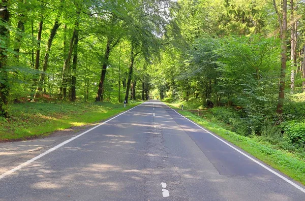 Kuzey Almanya'da güneşli bir yaz gününde ilçe yolları ve yolları görünümü