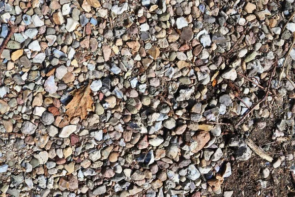 Detailed Close View Pebbles Stones Gravel Ground Texture High Resolution — Stock Photo, Image