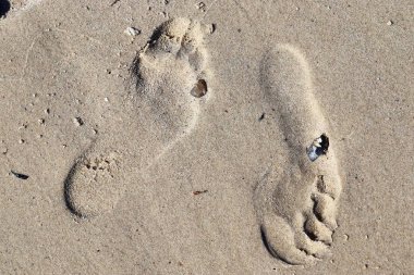 Baltık denizinin plajlarında kumda güzel detaylı ayak izleri