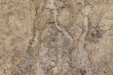 Yüksek çözünürlükte kahverengi kum zemin dokusunda ayrıntılı yakın görünüm