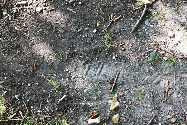 Yüksek çözünürlükte kahverengi kum zemin dokusunda ayrıntılı yakın görünüm