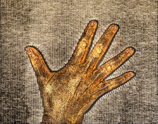 Illustration Glödande Mänsklig Kvinnlig Hand Med Blå Kirlian Aura Som — Stockfoto