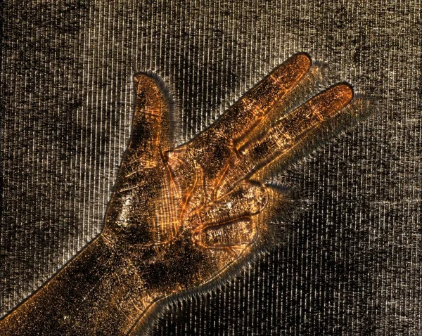 Иллюстрация Светящейся Человеческой Женской Руки Голубой Кирлиевой Аурой Изображающей Различные — стоковое фото