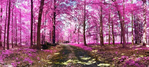 Розовые Фиолетовые Инфернальные Панорамы Европейского Сельского Пейзажа Голубым Небом — стоковое фото