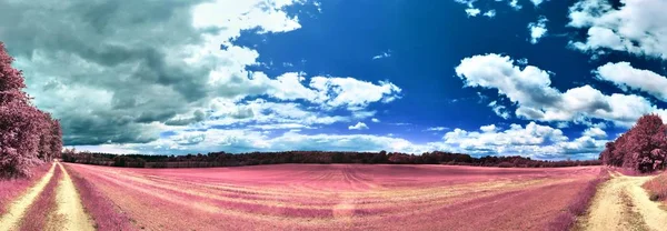 青空とヨーロッパの田園風景の美しいピンクと紫の赤外線パノラマ — ストック写真