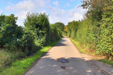Kuzey Avrupa 'da tarlaları ve ağaçları olan kırsal yolların güzel manzarası