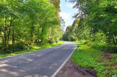 Kuzey Avrupa 'da tarlaları ve ağaçları olan kırsal yolların güzel manzarası