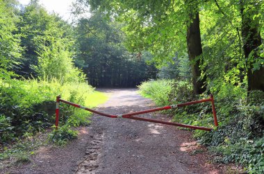 Kuzey Avrupa 'da tarlaları ve ağaçları olan kırsal yolların güzel manzarası