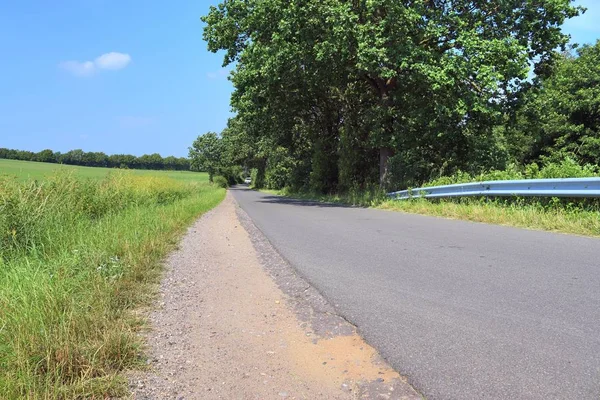 Belle Vue Sur Les Routes Campagne Avec Des Champs Des — Photo