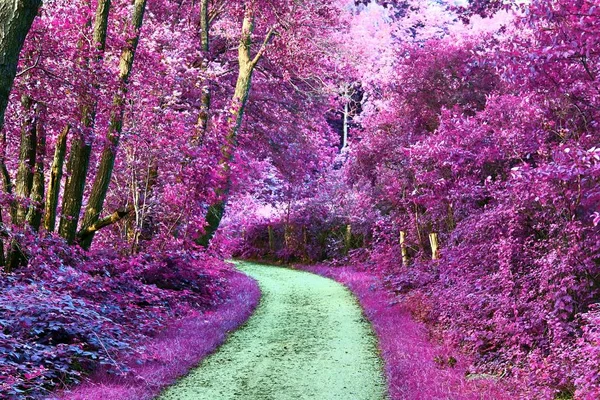 Hermosas Imágenes Infrarrojas Rosadas Púrpuras Paisajes Rurales Europa —  Fotos de Stock