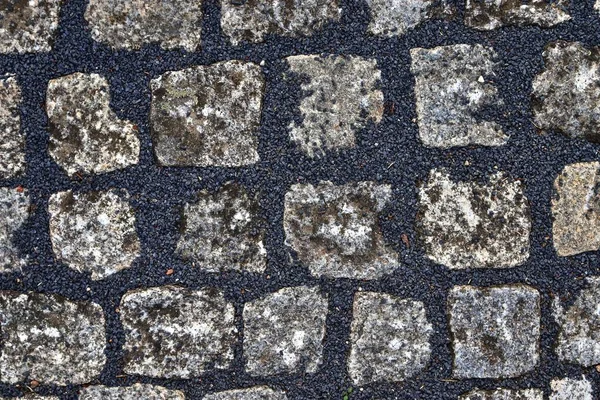 Részletes Közelről Textúra Egy Macskaköves Utcán Található Észak Németországban — Stock Fotó
