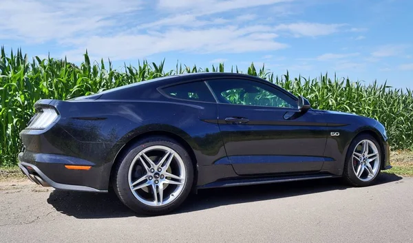 Schleswig Holstein Alemania Septiembre 2019 Ford Mustang 2018 Black Sports — Foto de Stock