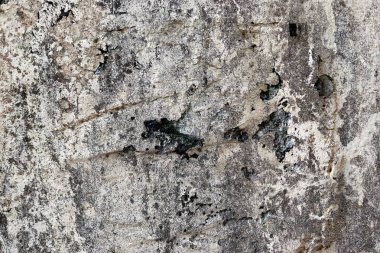 Eski binalarda alınan çatlaklar ve çok yapı ile yaşlı ve yıpranmış conrete duvar dokuları