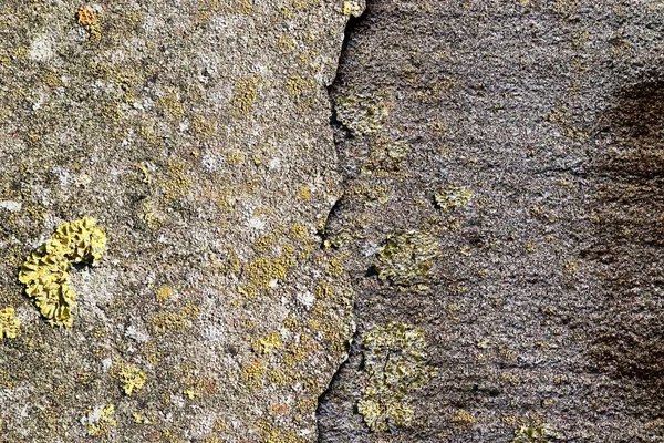 Texturas Pared Conrete Envejecidas Envejecidas Con Grietas Mucha Estructura Tomada — Foto de Stock