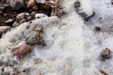 Baltık denizinin kıyı şeridinde su köpüğü hakkında detaylı yakından görünüm