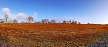 Ağaçları ve mavi gökyüzü olan altın bir sonbahar manzarasının güzel manzarası.