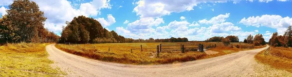 Beau Panorama Paysage Autmun Doré Avec Des Arbres Ciel Bleu — Photo